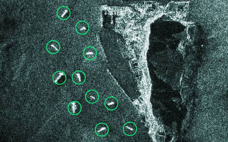 Detection of individual vessels using AI